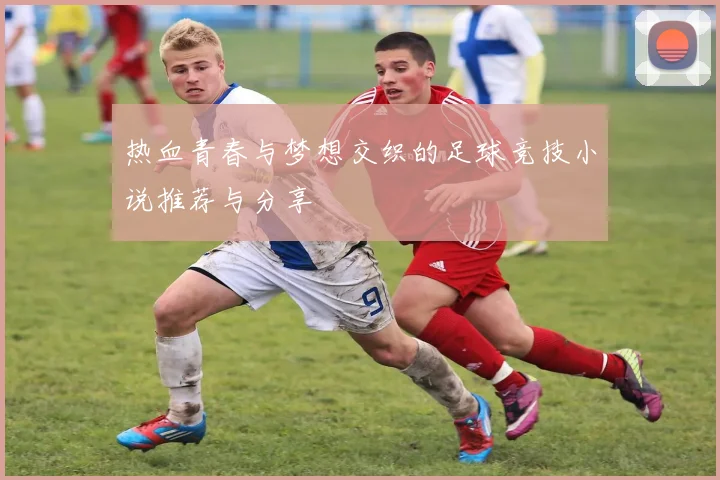 热血青春与梦想交织的足球竞技小说推荐与分享