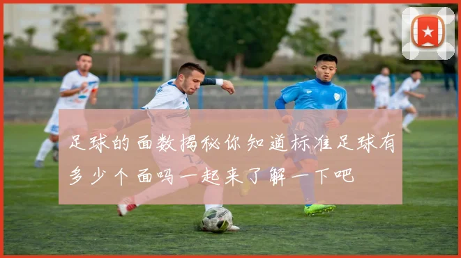足球的面数揭秘你知道标准足球有多少个面吗一起来了解一下吧