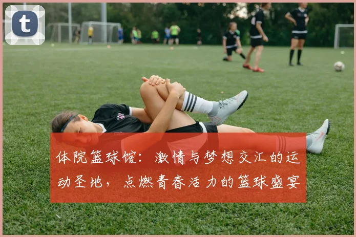 体院篮球馆：激情与梦想交汇的运动圣地，点燃青春活力的篮球盛宴