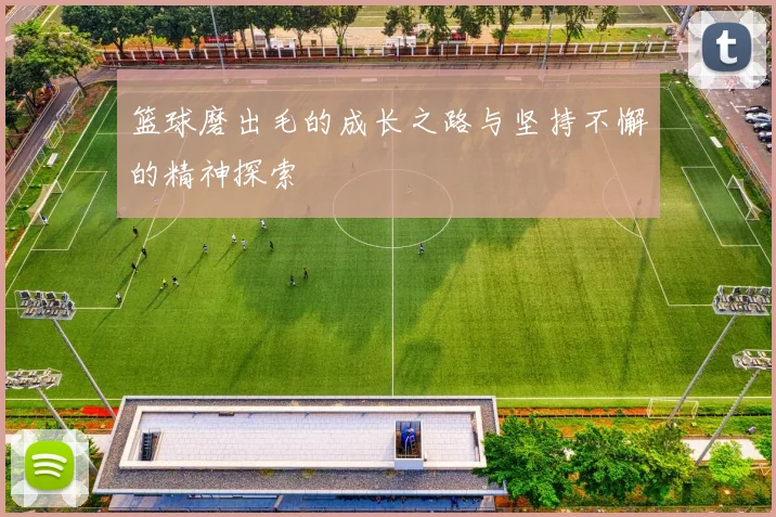 篮球磨出毛的成长之路与坚持不懈的精神探索