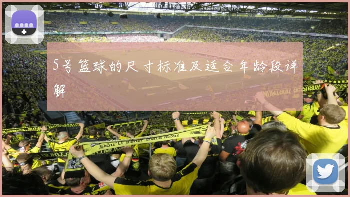 5号篮球的尺寸标准及适合年龄段详解